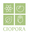 for video thumbnails.png