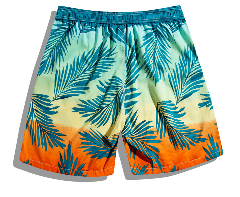 Thumbnail: Men's Fast Dry Stretch Swimming Shorts