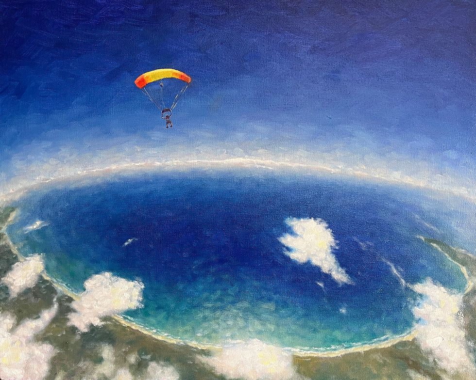 Reborn In Free Fall.jpg