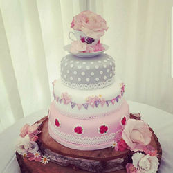 20476052_1302204336569768_7562484966269535240_n