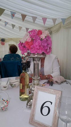 20476471_1302209529902582_5081944302230599555_n