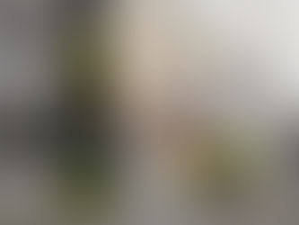 Aceite Bio Sacha, el mejor ingrediente en la cocina.