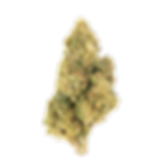 Blue Cookies | 4g