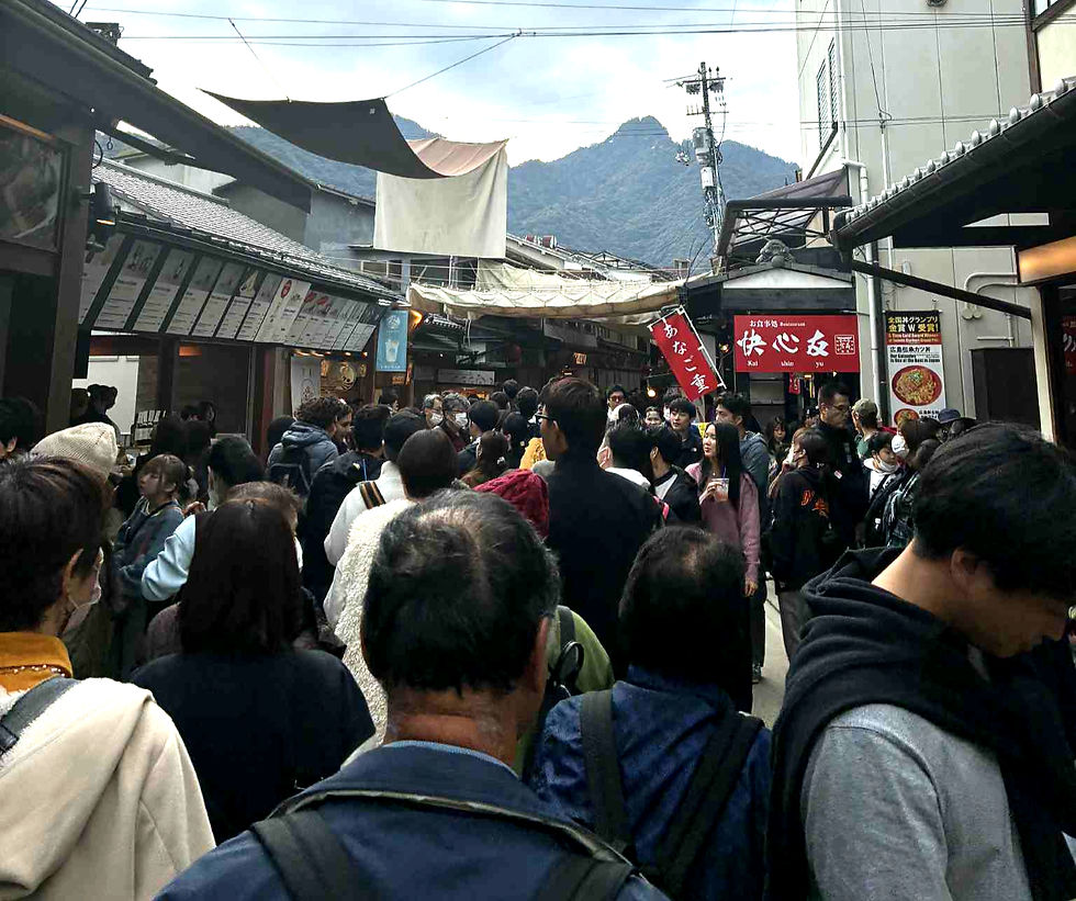 法改正ラッシュと海外の反応…