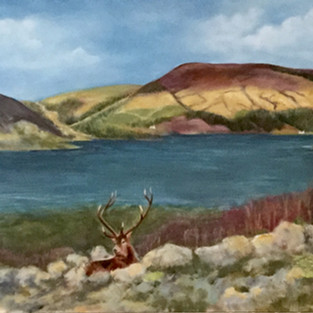 Scottish Highlands