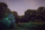 Fireflies in New Paltz, NY