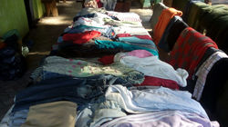 Doações dos forrozeiros