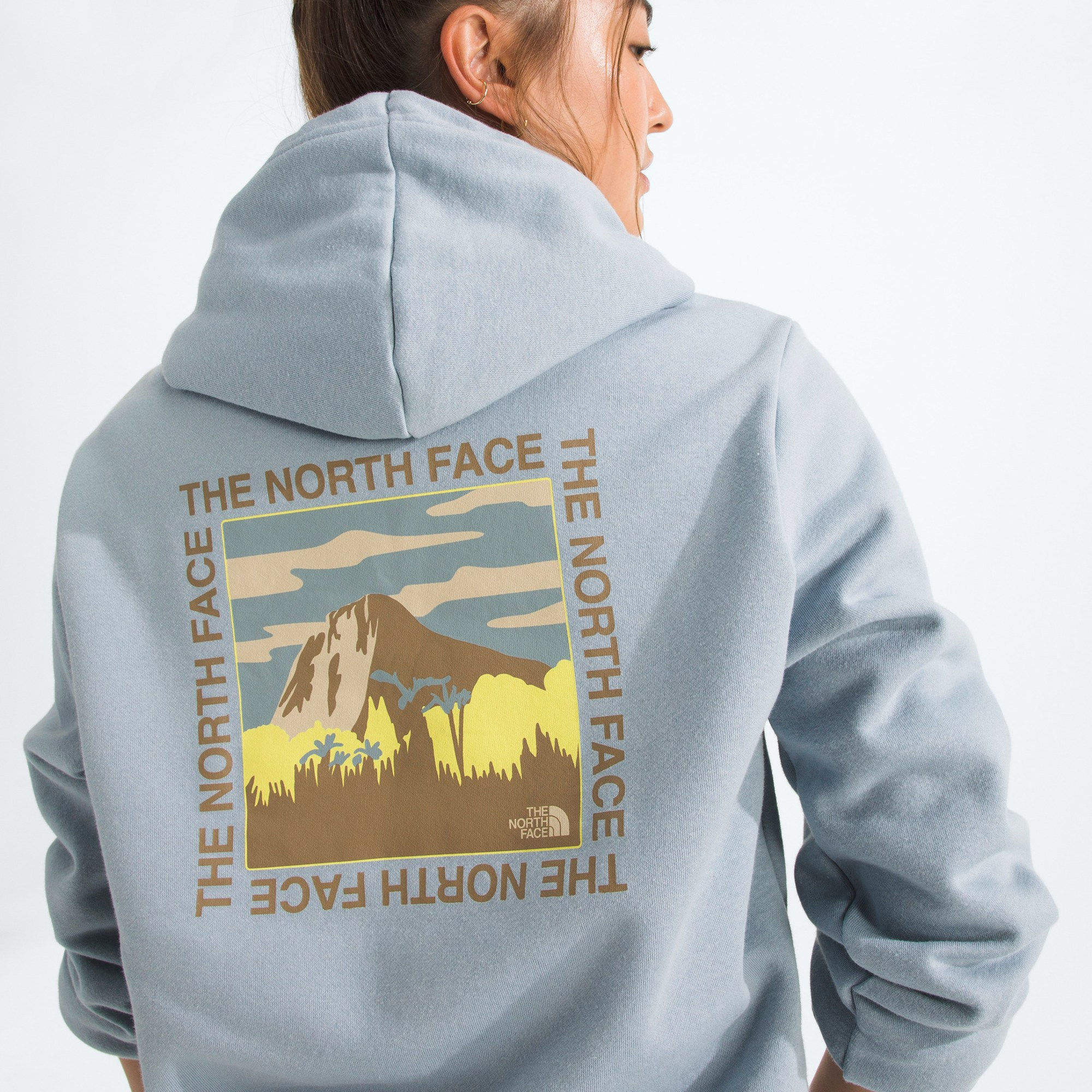 The North Face Women's All Day Beauty Regular Hoodie