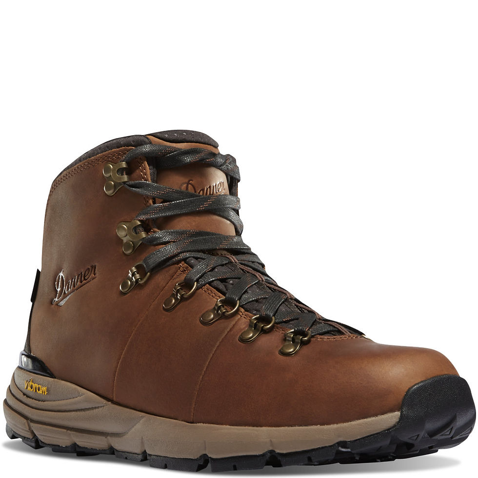 Danner Men's Mountain 600 Boots