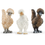 Thumbnail: Schleich Kid's Chicken Friends