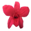 Miniature : ORCHIDÉE STABILISÉE FUSHIA (x5)