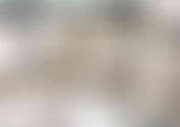22-_DSC0981