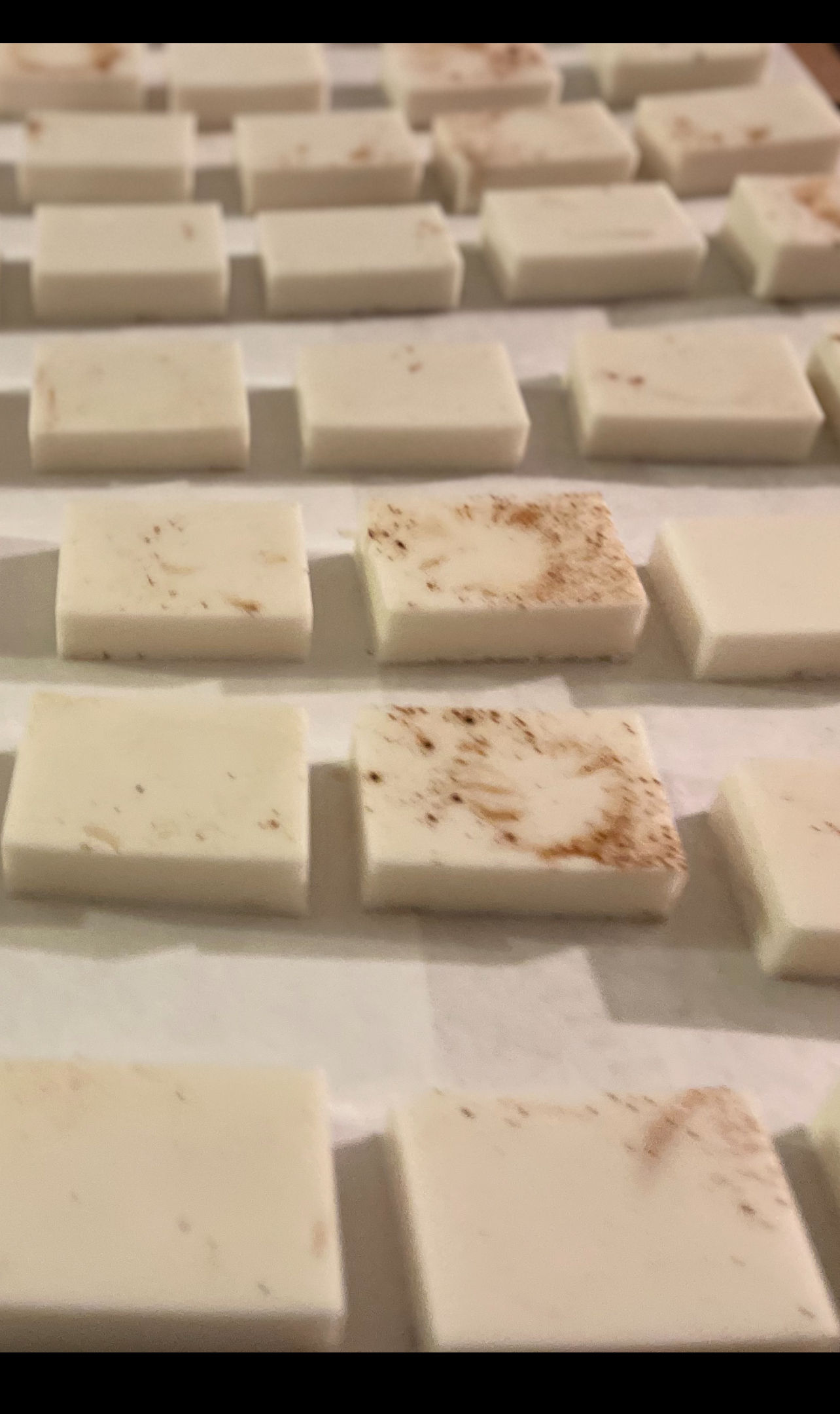 Eucalyptus Spearmint Aloe Potato Soap