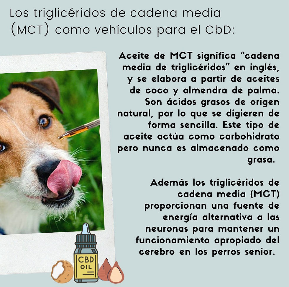 Miniatura: CBD 8.3 mg/ml - Perro Chico y mediano