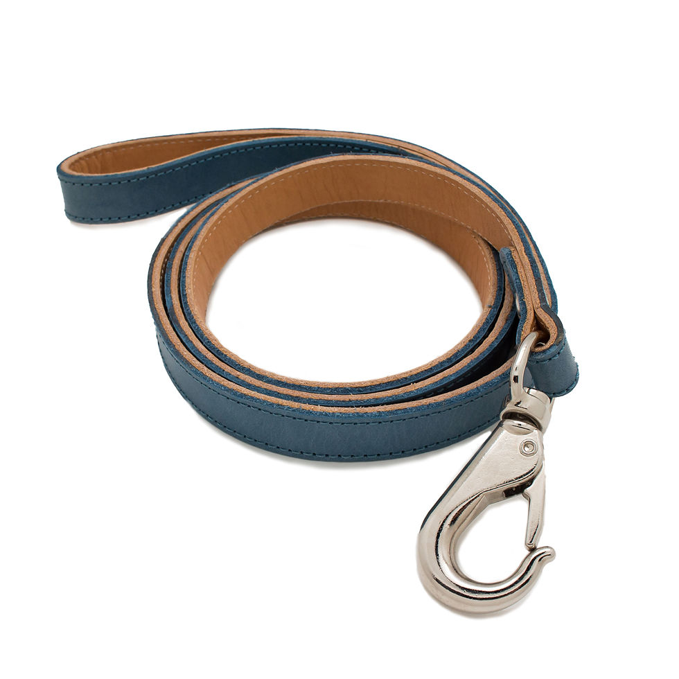 Miniatura: collar para perro elaborado en piel de Jalisco, Mexico