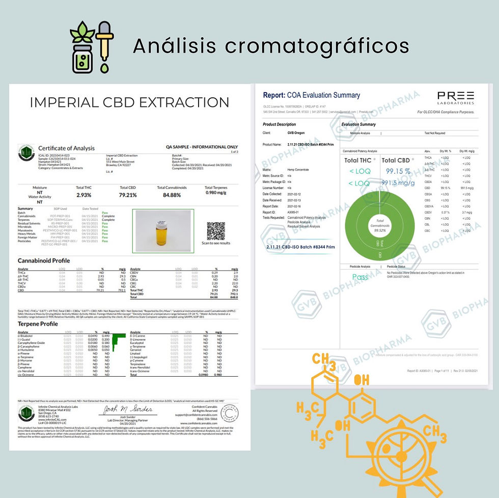 Miniatura: CBD 33 mg/ml - Perro Grande