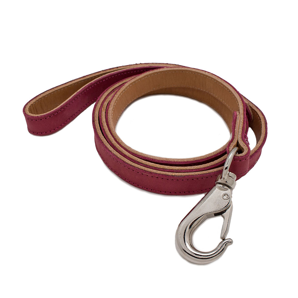 Miniatura: collar para perro elaborado en piel de Jalisco, Mexico