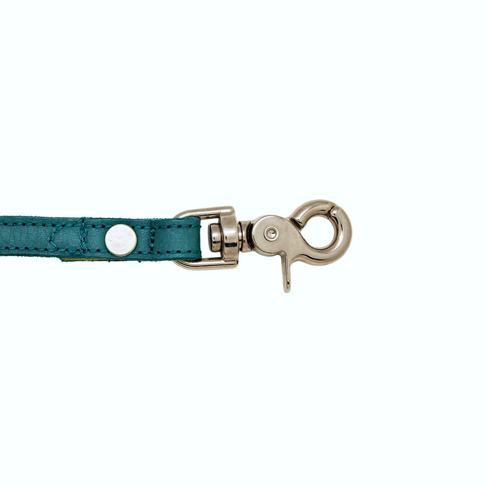 Miniatura: collar para perro elaborado en piel de Jalisco, Mexico