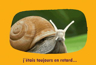 escargot_texte_2_site.gif