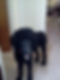 2014-04-21_Charlie_edited.jpg