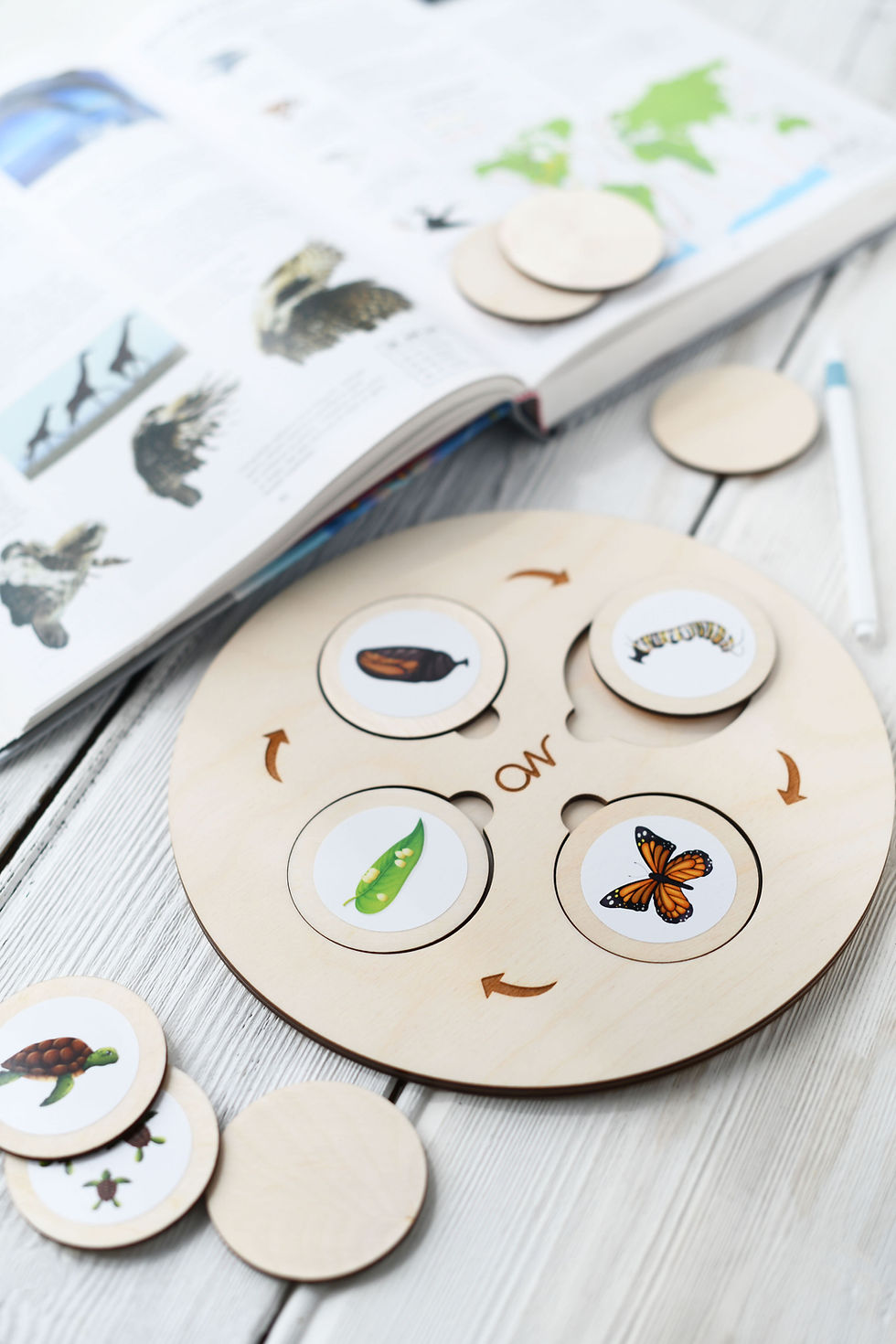 Thumbnail: LIFE CYCLE TRAY