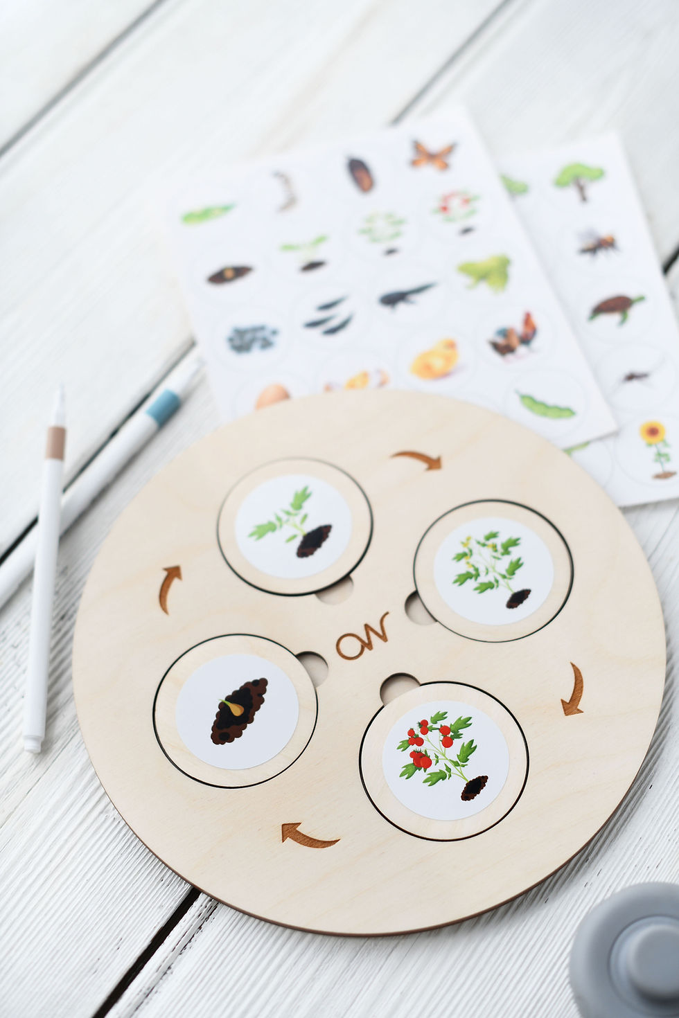Thumbnail: LIFE CYCLE TRAY