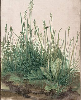 "La moindre touffe d'herbe..." (J. Cabanis)