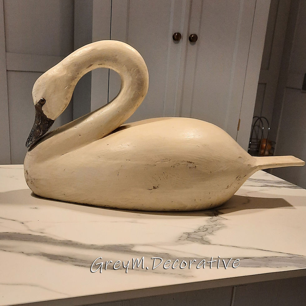Resting Swan