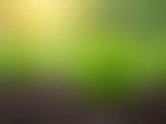 Hydroseeding vs. Sod in Iowa: Pros, Cons, and Cost Comparison