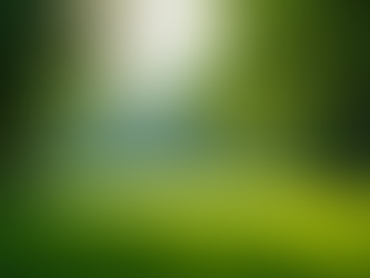 How Hydroseeding Helps You Achieve a Healthy Lawn