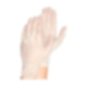 Clear Nitrile Gloves