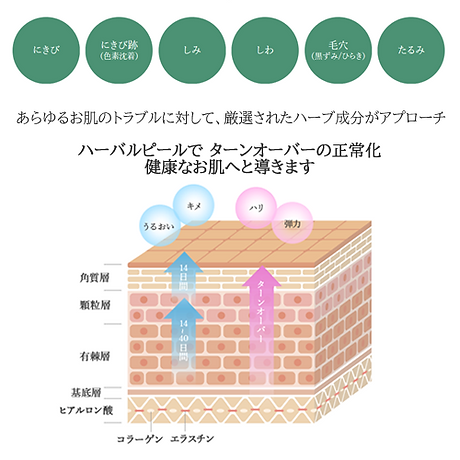 ★ターンオーバー.png