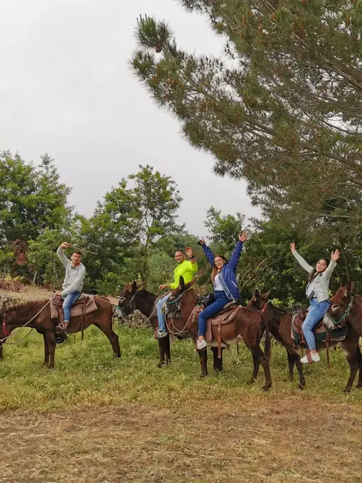 Etna donkey trekking