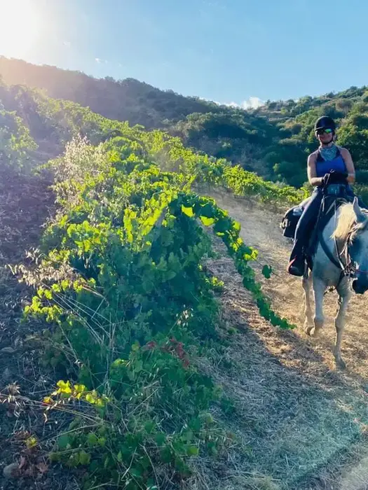 Escursione a cavallo Palermo