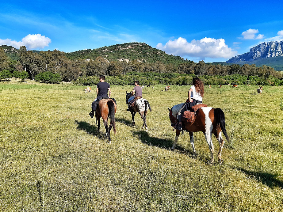 Sicily Horse Riding
