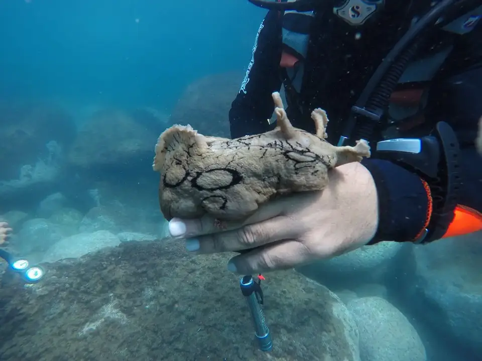 Eseprienze in Sicilia