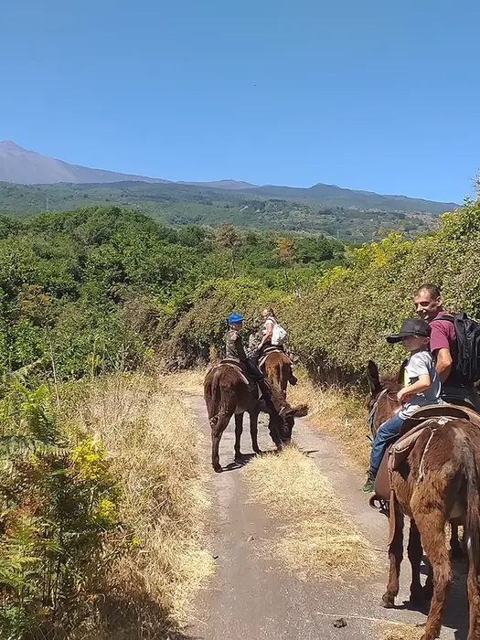 Escursione a dorso d'asino sull'Etna