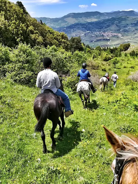 Adventure horse trekking in Palermo