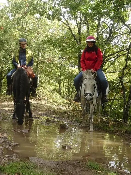 Escursioni a cavallo Nebrodi