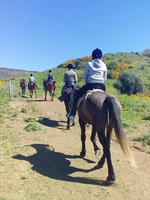 Giro a cavallo Cefalù