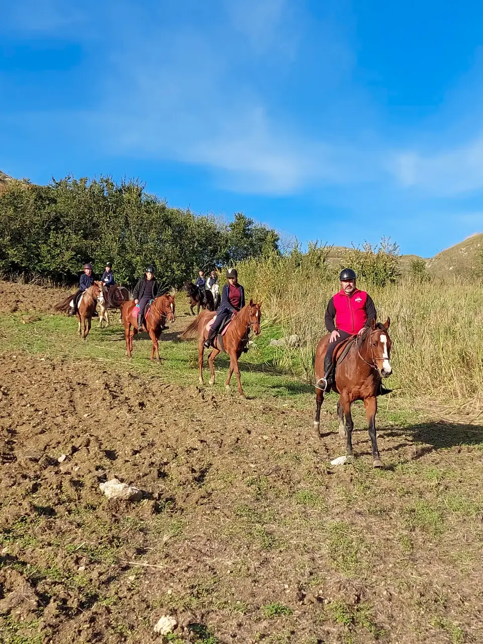 Passeggiate cavallo Trapani