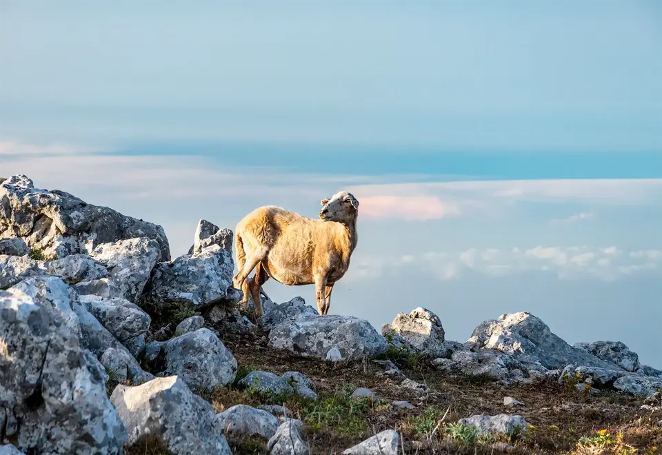 Trekking sui Nebrodi