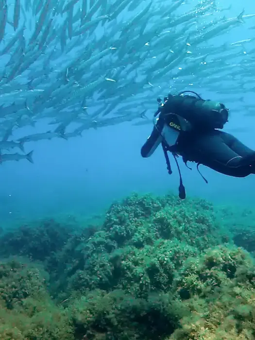 Immersioni Sicilia