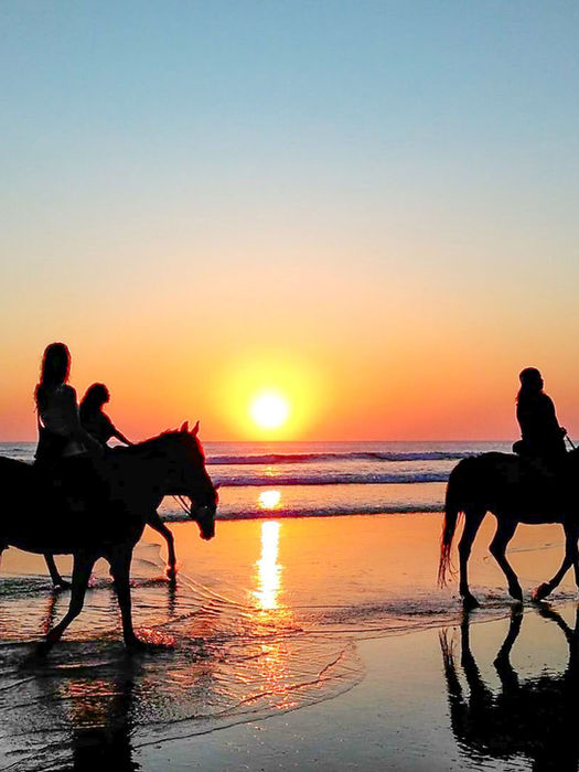 Escursione a cavallo Sicilia occidentale, Marsala
