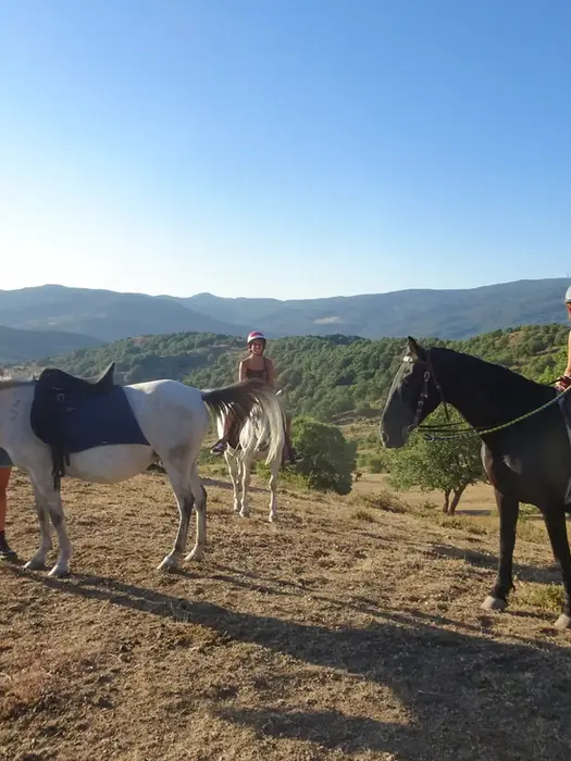 Passeggiata a cavallo Nebrodi