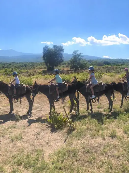 Passeggiata a dorso d'asino per famiglie