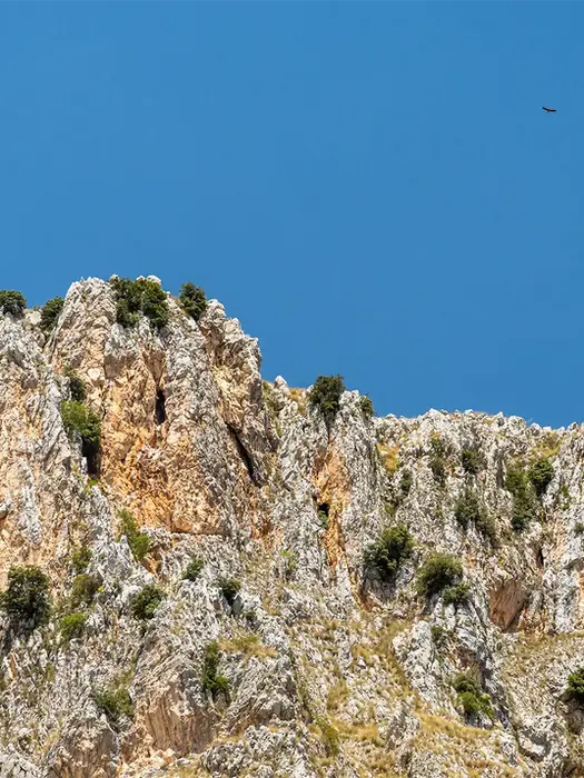 Trekking parco dei Nebrodi