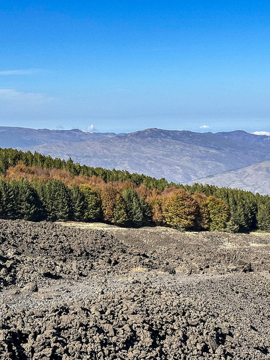 Trekking foliage Etna