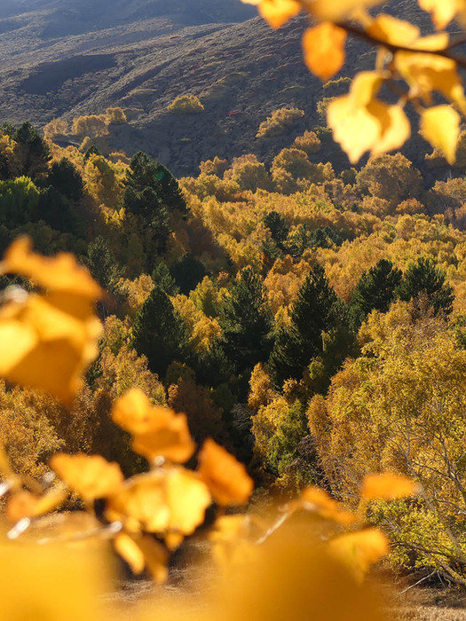 Escursione foliage Sicilia