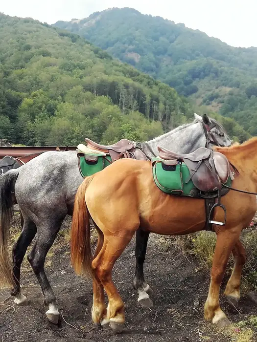 Gita a cavallo sull'Etna